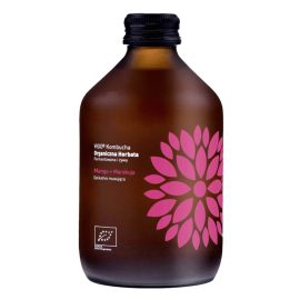 Kombucha Vigo Bio Mango Marakuja 330 ml